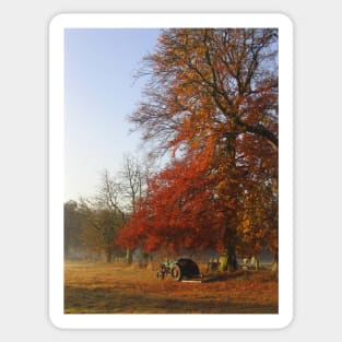 Autumn morning on Church Meadow Sticker